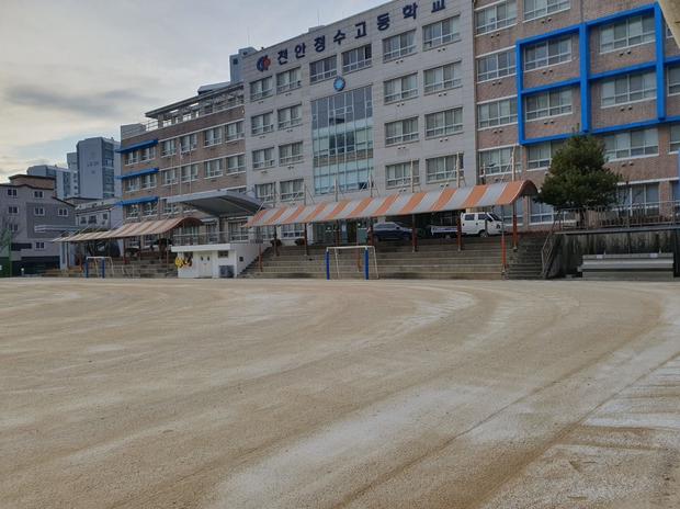 부산면어린이집운동장 관리, 학교 시설관리 전문가로 안전하고 최신 기술로 보다 멋진 운...