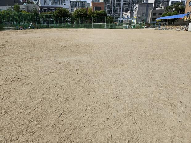 부산면병설유치원 운동장 관리: 전국산업안전으로 튼튼한 놀이터 만들기!