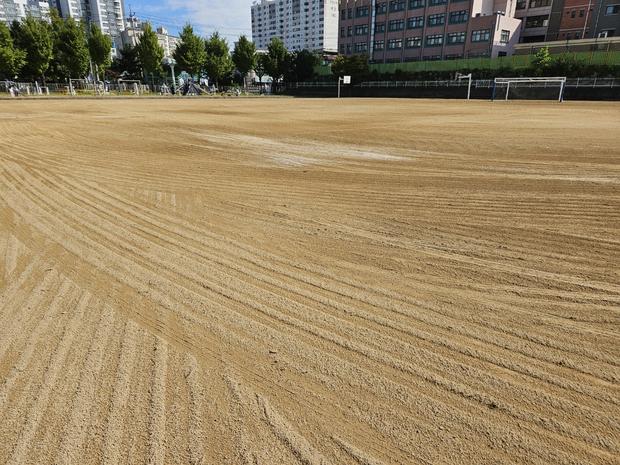 학교 운동장 안전,  강진군중학교 소금살포에 전국산업안전 핵심!