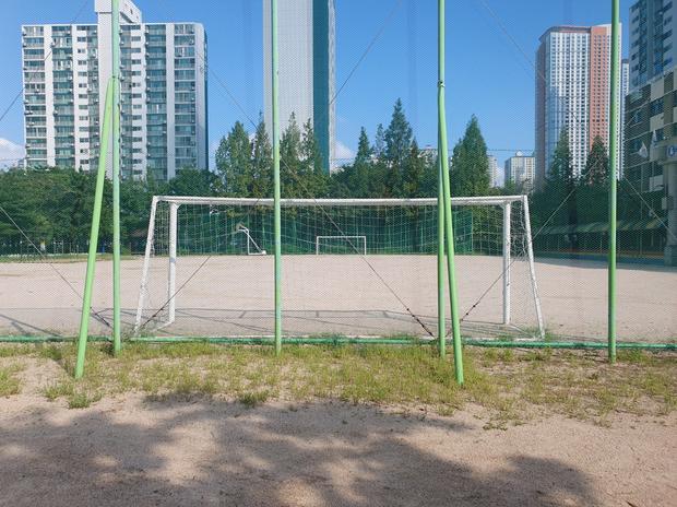 강진고등학교 운동장 잡초 제거: 전문 시공으로 안전하고 효과적인 관리하세요!