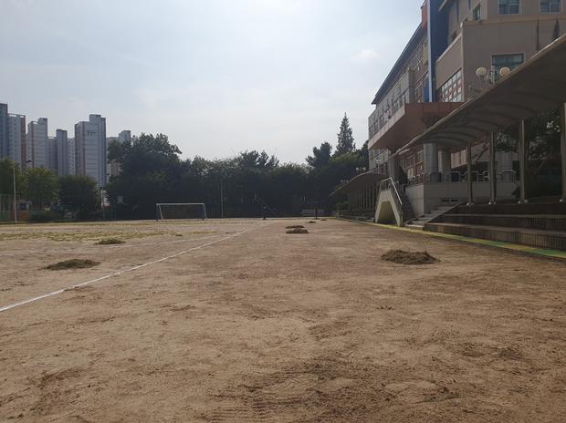 군동면초등학교 운동장 관리, 안전과 신뢰 ?  전국산업안전 전문가로 보세요!