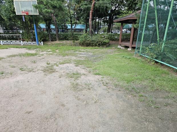 칠량면중학교 운동장 잡초 제거: 전문 시공으로 안전하고 효율적인 관리!