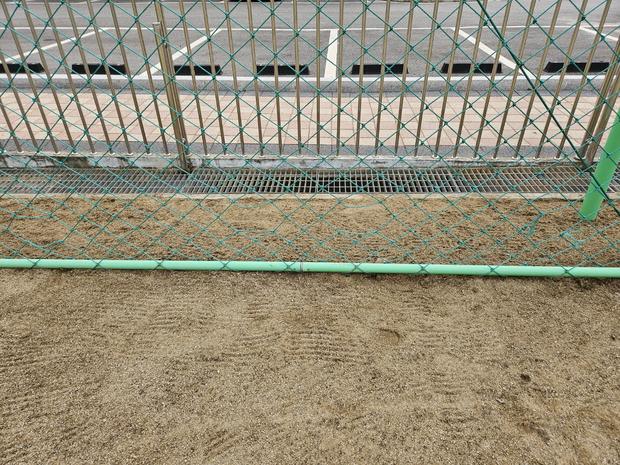 칠량면병설유치원 운동장 잡초 제거: 전문가가 알려주는 안전한 방법