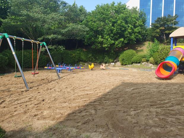 대구면초등학교 운동장 잡초 제거 전문가로 안전하고 효과적인 시공! 관련 이미지