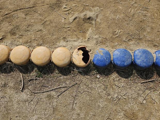 학교 운동장 잡초 제거! 안전하고 효과적인 방법 알려줘요!