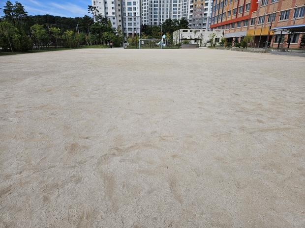 신전면초등학교 운동장 모래보충: 전국산업안전 팁!