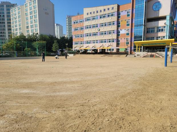 학교 운동장 잡초 제거, 전국산업안전으로 안정적인 활동 시작!