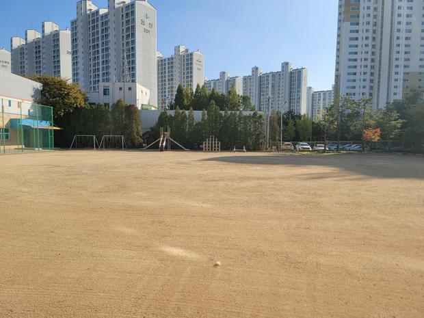 성전면고등학교 운동장 소금살포 | 전국산업안전, 100% 안전공사