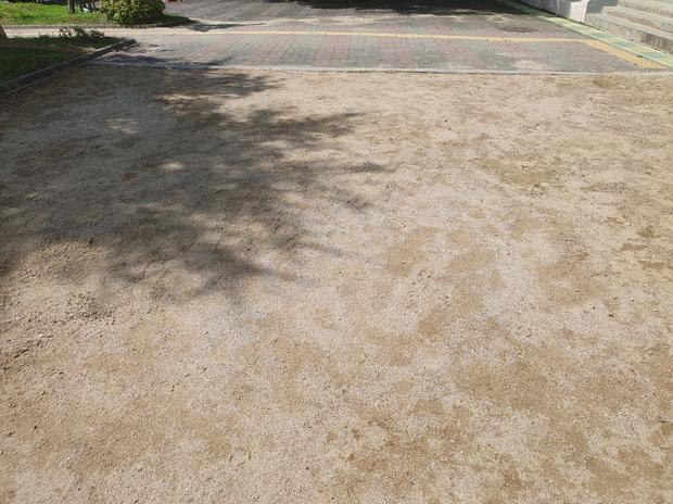 성전면고 운동장 모래보충, 전국산업안전으로 더욱 안전하고 깨끗하게!