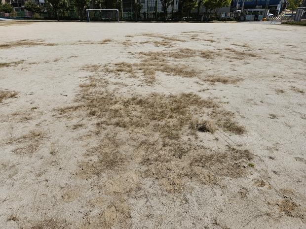 학교 운동장 관리, 안전과 효율성 최우선! 전국산업안전 핵심 기술