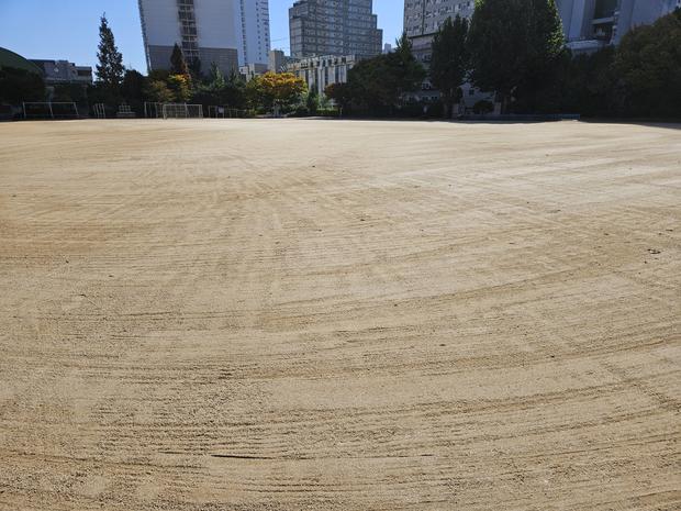 ? 학교 운동장 잡초 제거 전문가! 안전하고 효과적인 방법