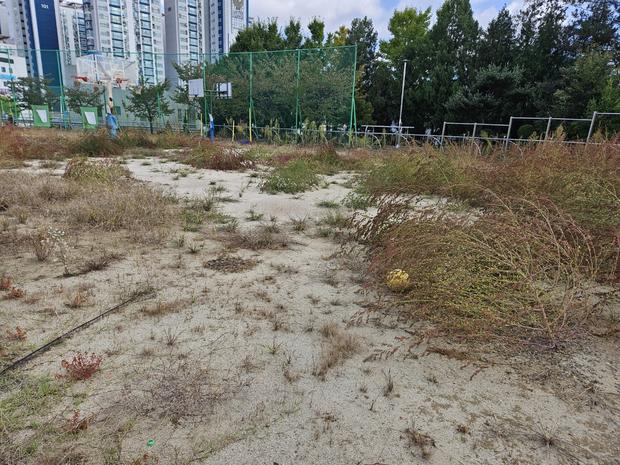 학교 운동장 잡초 제거, 안전하고 효과적으로! 전국산업안전 전문가의 조언