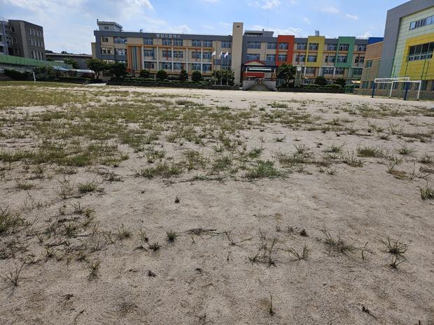 학교 운동장 모래보충, 전문 시공만큼 안전하세요? ??