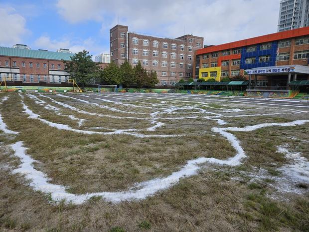 마량면유치원 운동장 관리: 전문가 팁으로 안전하고 건강한 놀이 공간 만들어보세요!