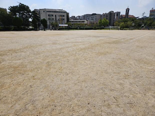 학교 운동장 관리, 안전과 효율성 ? 전국산업안전으로 더욱 좋은 놀이터 만들기!