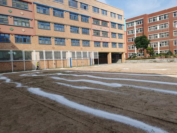 학교 운동장 관리, 안전 최우선! 전문가로서  북일면고등학교 운동장 유지 보수