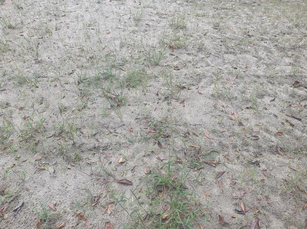 옥천면유치원운동장모래보충: 안전과 품질을 위한 전국산업안전, 당신의 아이들의 건강 보호