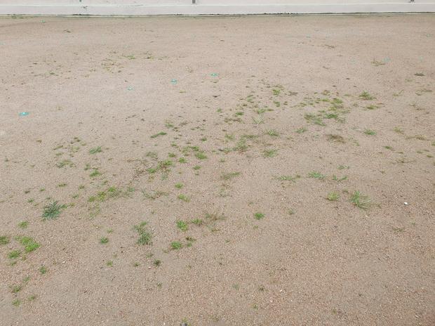 계곡면중학교운동장 잡초제거: 전문 시공으로 건강하고 안전한 운동 공간 만들어보세요!