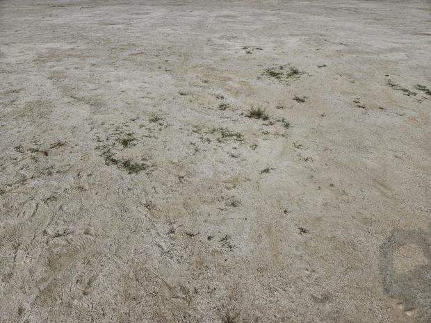 계곡면고등학교 운동장 소금살포! 전국산업안전, 안전한 학교 운동장 만들어요