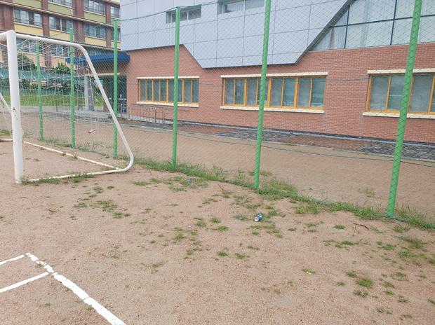 황산면초등학교 운동장 잡초 제거: 전문 시공으로 안전하고 지속가능한 교육 환경 만들기