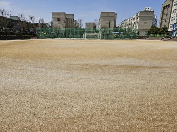 황산면고등학교 운동장 소금살포 | 전국산업안전 핵심, 최상의 안전 지침!