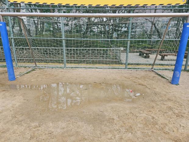 학교 운동장 잡초 제거: 전문 시공으로 안전하고 깨끗한 공간 만들기