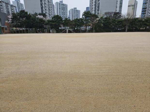 문내면고등학교운동장잡초제거: 전문 시공으로 깨끗하고 안전한 운동 공간 만들어보세요!