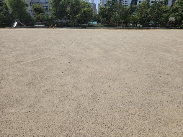 삼호읍초등학교 운동장 모래보충: 전문적인 안전으로 건강한 놀이터 만들기!