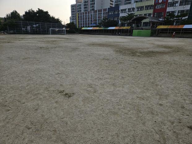 학교 운동장 잡초 제거: 전국산업안전으로 더욱 안전하고 건강한 공간 만들기
