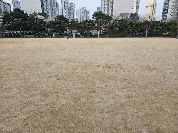 학교 운동장 모래보충, 전국산업안전으로 걱정 없는 놀이터 만들기!