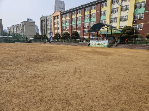 군서면병설유치원 운동장 소금살포: 학교 시설관리 전문가, 전국산업안전으로 안전하게!