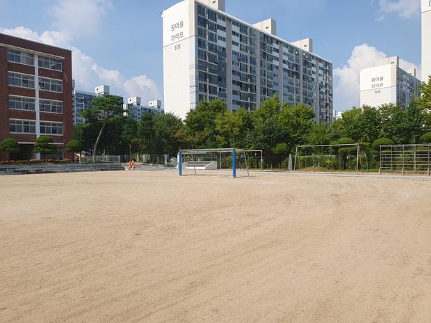 학산면중학교 운동장 잡초 제거: 전국산업안전으로 깨끗하고 안전한 공간 만들어보세요!