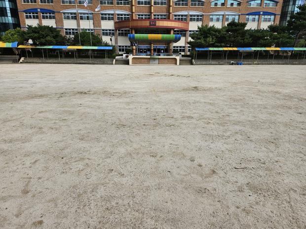 학교 운동장 잡초 제거: 전국산업안전으로 안전하고 지속 가능한 놀이터 만들기!