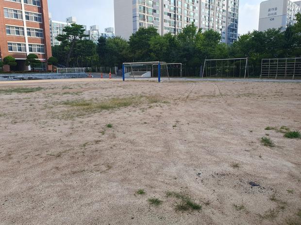 무안군중학교 운동장 잡초 제거: 전문 시공으로 안전하고 아름다운 공간 만들기!