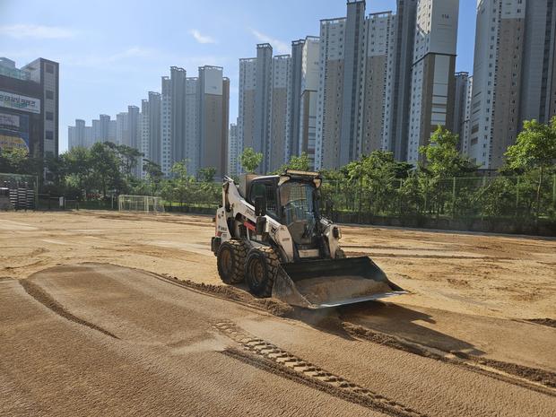 학교 운동장 잡초 제거 전문가! 안전 & 효과적인 방법 알려줄게요.