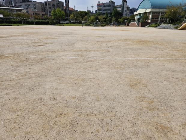 삼향읍 남악출장소 초등학교 운동장 모래보충: 안전 & 효과적인 시공 전문가