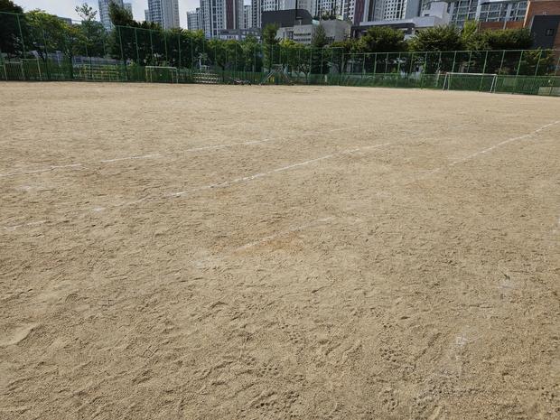 몽탄면 어린이집 운동장 소금살포: 전문 시공으로 안전하고 오랫동안 사용 가능한 놀이터... 관련 이미지