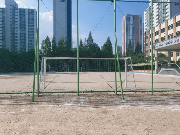 학교 운동장 잡초 제거, 전문 시공으로 안전하고 건강한 공간 만들기!