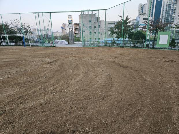 함평군고등학교 운동장 잡초 제거, 전문 시공으로 안전하고 효율적인 관리!