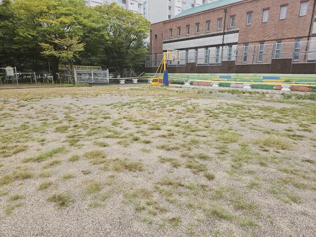 함평읍중학교 운동장 소금 살포, 전국산업안전으로 막대한 피해 예방!