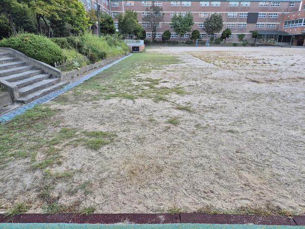 손불면중학교 운동장 관리, 안전하고 품질 높게 유지하기!