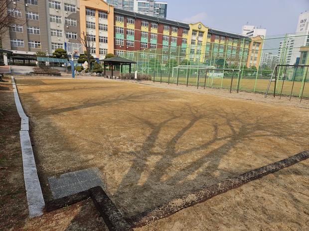 신광면초등학교 운동장 잡초 제거, 전국산업안전으로 안전하고 깨끗한 놀이터 만들어봐!