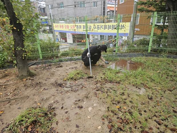 신광면병설유치원 운동장 관리: 전국산업안전, 안정적인 놀이터 만들어봐!
