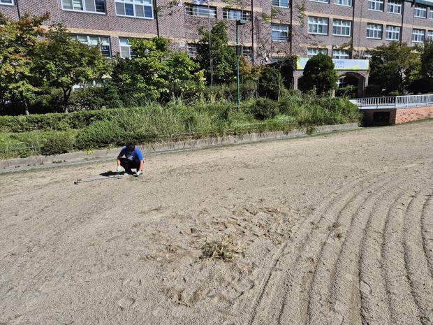 엄다면초등학교운동장 잡초 제거! 전문 시공으로 안전하고 효과적인 관리!
