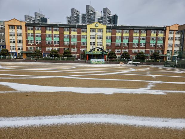 학교 운동장 잡초 제거, 안전 & 효율성까지 전국산업안전! 관련 이미지