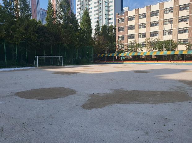 영광군중학교운동장 잡초 제거, 전국산업안전으로 건강한 운동 공간 만들자!