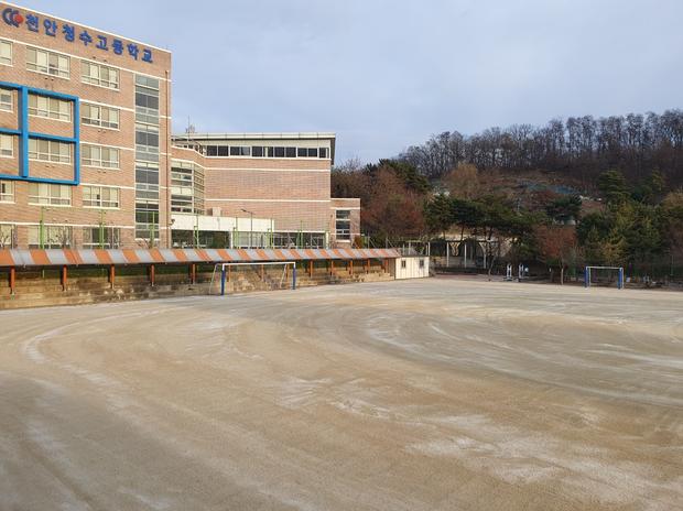 영광군병설유치원 운동장 잡초 제거, 전문가로부터 안전한 환경 만들기!