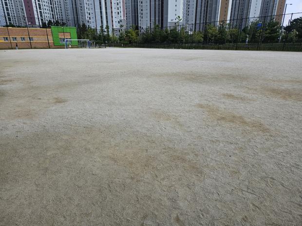 ? 영광읍중학교 운동장 잡초 제거! 전문 시공으로 안전하고 완벽한 놀이터 만들어보세요!