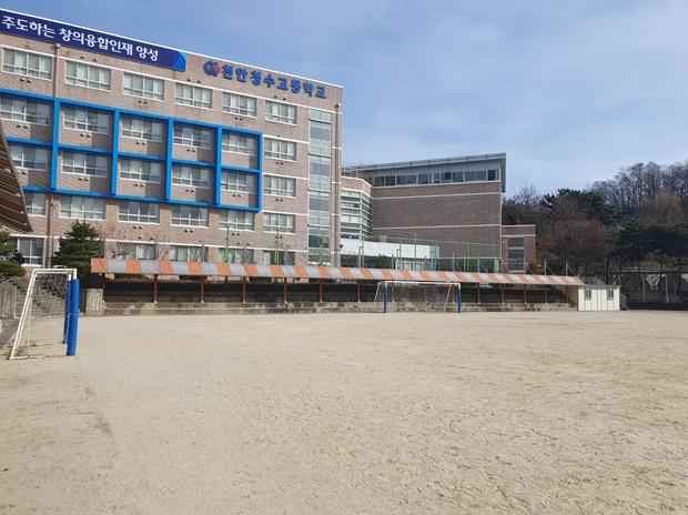 홍농읍고등학교 운동장 소금살포? ? 안전 & 효율적인 유지보수 전문가 가이드!
