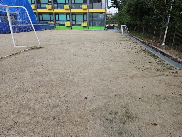 염산면초등학교 운동장 잡초 제거: 전문적인 안전과 기술로 깨끗하고 건강한 놀이터 만들기!